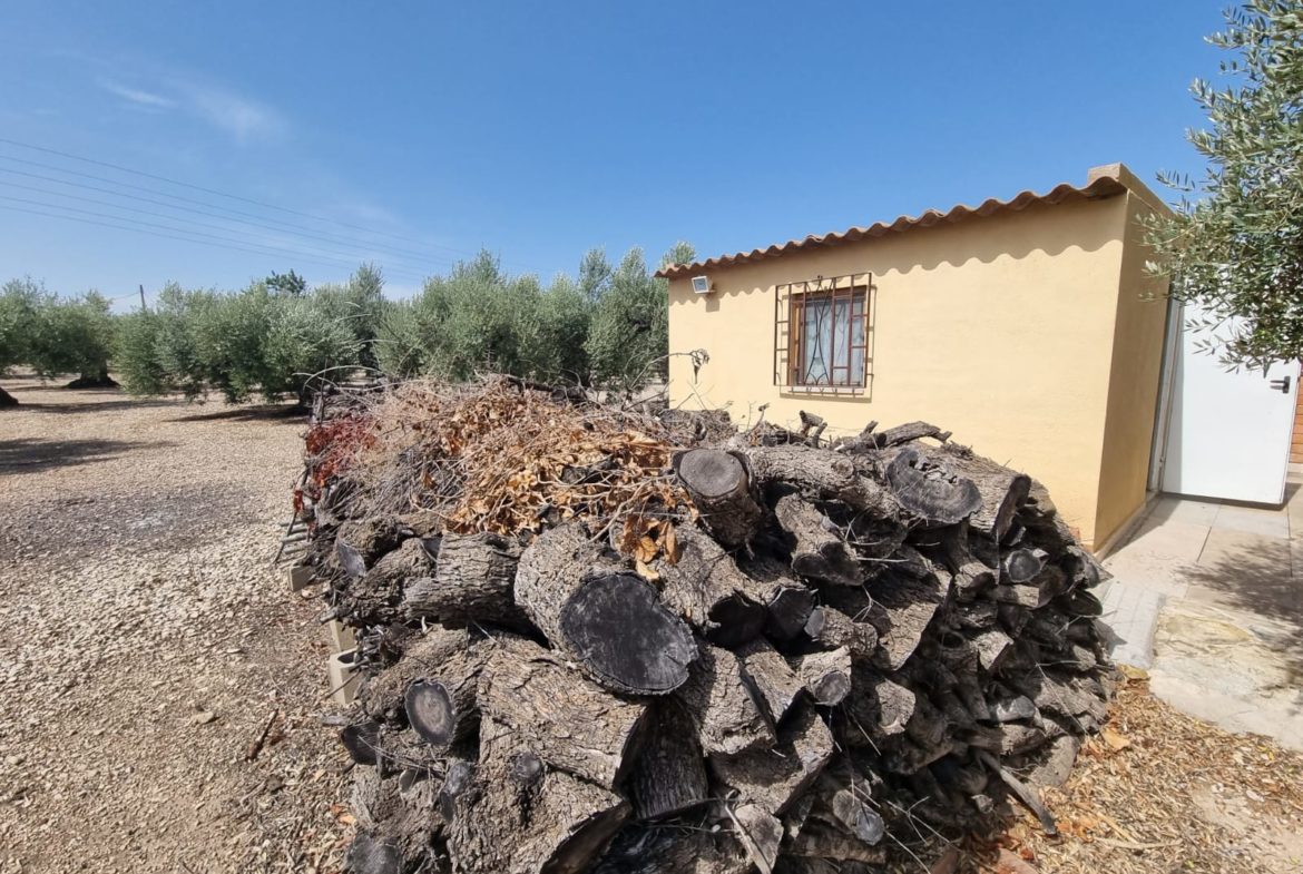 Rustic finca 1 bedroom with house of 49 m2 in L'Ampolla
